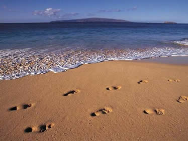 footprints in some sand
